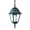 Acclaim Lighting Builder's Choice 12 Inch Tall Outdoor Hanging Lantern