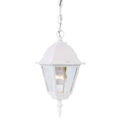 Acclaim Lighting Builder's Choice 12 Inch Tall Outdoor Hanging Lantern -LumeLux Shop Acclaim Lighting 4006TW