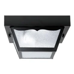 10 Inch 2 Light Outdoor Flush Mount By Capital Lighting Fixture Company