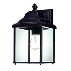 Charleston 13 Inch Tall 1 Light Outdoor Wall Light By Dolan Designs - Clearance Special