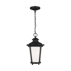 Generation Lighting Cape May 15 Inch Tall Outdoor Hanging Lantern