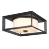 Smyth 13 Inch 2 Light Outdoor Flush Mount By Golden Lighting