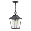 Hinkley Lighting Palmer 14 Inch Tall Outdoor Hanging Lantern