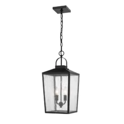Devens 22 Inch Tall 2 Light Outdoor Hanging Lantern By Millennium Lighting