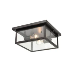 Evanton 5 Inch Tall 2 Light Outdoor Hanging Lantern By Millennium Lighting -LumeLux Shop Millennium Lighting 4122 PBZ 1