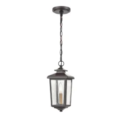 Millennium Lighting Eldrick 13 Inch Tall Outdoor Hanging Lantern -LumeLux Shop Millennium Lighting 4621 PBZ 3
