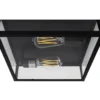 Capture 12 Inch 2 Light Outdoor Flush Mount By Norwell