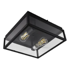 Capture 12 Inch 2 Light Outdoor Flush Mount By Norwell -LumeLux Shop Norwell 1184 MB CL 2