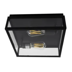 Capture 12 Inch 2 Light Outdoor Flush Mount By Norwell -LumeLux Shop Norwell 1184 MB CL 3