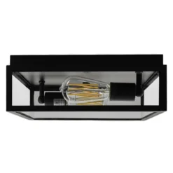 Capture 12 Inch 2 Light Outdoor Flush Mount By Norwell -LumeLux Shop Norwell 1184 MB CL 4