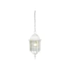Adams 16 Inch Tall 1 Light Outdoor Hanging Lantern By Nuvo Lighting