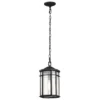 Nuvo Lighting Raiden 14 Inch Tall Outdoor Hanging Lantern