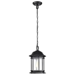 Nuvo Lighting Hopkins 12 Inch Tall Outdoor Hanging Lantern -LumeLux Shop Nuvo Lighting 60 6117 001