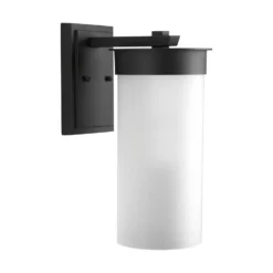 Hawthorne 16 Inch Tall 1 Light Outdoor Wall Light By Progress Lighting