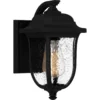 Quoizel Mulberry 11 Inch Tall Outdoor Wall Light