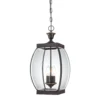 Oasis 20 Inch Tall 3 Light Outdoor Hanging Lantern By Quoizel