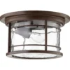 Larson 11 Inch 1 Light Outdoor Flush Mount By Quorum International