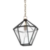 Troy Lighting Moss 14 Inch Tall Outdoor Hanging Lantern