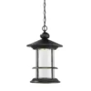 Z-Lite Genesis 18 Inch Tall LED Outdoor Hanging Lantern
