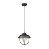 Z-Lite Ansel 10 Inch Tall Outdoor Hanging Lantern